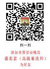 手機查看